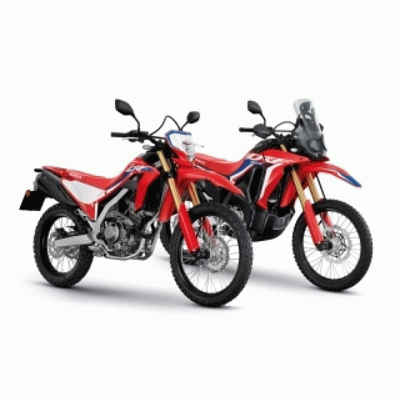 CRF300L Rally