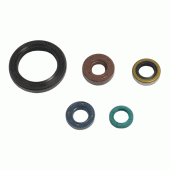 Сальники двигуна комплект Athena P400250400049