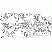 Схема вузла: Wire Harness (1) для Honda VT750 Shadow Phantom
