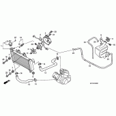 Схема вузла: Радіатор (XL125V1 / 2/3/4/5/6) для Honda XL125 Varadero