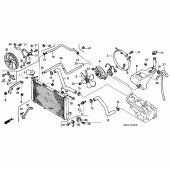 Схема узла: Радиатор для Honda CBR1100XX Blackbird