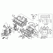 Схема узла: Картер двигателя для Honda CB600F Hornet