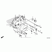 Схема вузла: Left crankcase cover (1) для Honda VT750 Shadow Aero