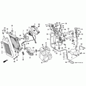 Схема вузла: Радіатор для Honda VT600 Shadow VLX