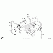 Схема вузла: Система вентиляції бака для Honda CBR300R