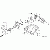 Схема узла: Масляный насос и Поддон для Honda CBR600 CBR600FR Racing Edition