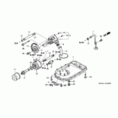 Схема узла: Масляный насос & Поддон для Honda ST1300 Pan-European