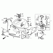 Схема узла: Топливный бак 99-03 для Honda CBR1100XX Blackbird