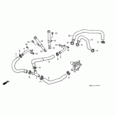Схема узла: Труба водная для Honda XL600 Transalp