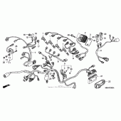 Схема вузла: Жгут проводки (04- 06) для Honda CBR600 CBR600F4i