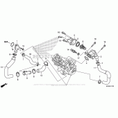 Схема вузла: Термостат для Honda CBR1000 CBR1000RR Fireblade