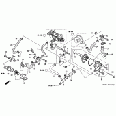 Схема узла: Водяной насос для Honda FJS600 Silver Wing