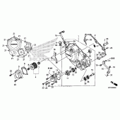 Схема узла: Правая крышка картера для Honda CRF250 CRF250L