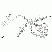 Схема вузла: Труба водна для Honda VTR1000 VTR SP-1