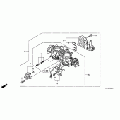 Схема узла: Дроссельная заслонка для Honda GL1800 Gold Wing