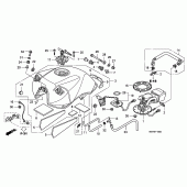 Схема вузла: Паливний бак (CBF600S / SA) для Honda CBF600