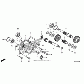 Схема узла: Трансмиссия для Honda FSC600 Silver Wing