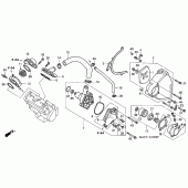 Схема узла: Водяной насос (V) для Honda CBR1100XX Blackbird