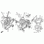 Схема узла: Картер двигателя для Honda XL600 Transalp