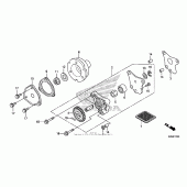 Схема узла: Масляный насос для Honda CRF125 CRF125FB