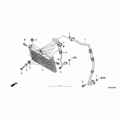 Схема узла: Масляный охладитель для Honda CB1100