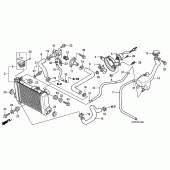 Схема узла: Радиатор (CBR125R/RS/RW5/RW6/RW8) для Honda CBR125