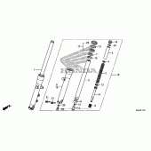 Схема узла: Front fork (2) для Honda VT750 Shadow Spirit