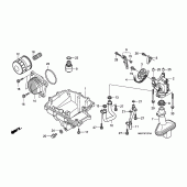 Схема вузла: Масляний насос & Піддон (CBF600S8 / SA8 / N8 / NA8) для Honda CBF600