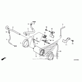 Схема узла: Система вентиляции бака для Honda CRF250 CRF250L