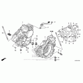 Схема узла: Картер двигателя для Honda CRF250 CRF250L