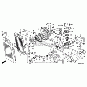 Схема узла: Радиатор 1 для Honda VT750 Shadow Spirit