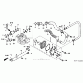 Схема узла: Водяной насос для Honda VTX1800