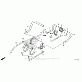 Схема вузла: Evap Canister для Honda CMX250 Rebel