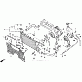 Схема вузла: Радіатор (91-94) для Honda CBR600 CBR600F2