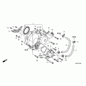 Схема вузла: Left crankcase cover / wate r pump для Honda NSA700 DN-01