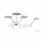 Схема узла: Label read the manual (VT750DC1/2) для Honda VT750 Black Widow