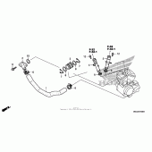 Схема вузла: Water pipe для Honda VT750 Shadow Aero