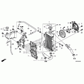 Схема узла: Радиатор для Honda CRF250 CRF250L