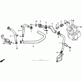 Схема вузла: Water pipe для Honda VT1100 Shadow ACE Tour
