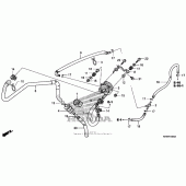 Схема вузла: Система індукції повітря для Honda CRF230 CRF230L