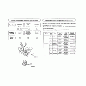 Схема узла: Справочная информация для Honda CMX250 Rebel