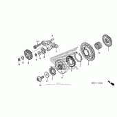 Схема вузла: Привід стартера для Honda CRF250 CRF250X