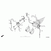 Схема вузла: Evap canister для Honda CBR250