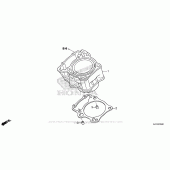 Схема вузла: Cylinder для Honda CRF250 CRF250RL Rally