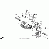 Схема вузла: Масляний охолоджувач 86-91 для Honda XR250