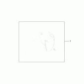 Схема вузла: Fr mud guard для Honda GL1500 Gold Wing Special Edition