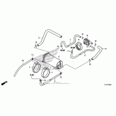 Схема вузла: Evap canister для Honda CMX250 Rebel