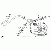 Схема вузла: Термостат для Honda RVT1000R RVT RC51