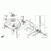 Схема узла: Топливный бак для Honda CBR900RR CBR919RR Fireblade