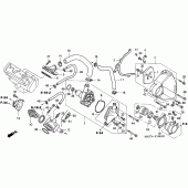 Схема узла: Водяной насос (W/X/Y/1/2/3/4) для Honda CBR1100XX Blackbird